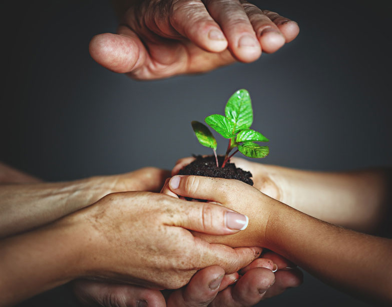 Erklärung zum Schutzauftrag, Kinderschutz und Prävention - KWV Jugendhilfe